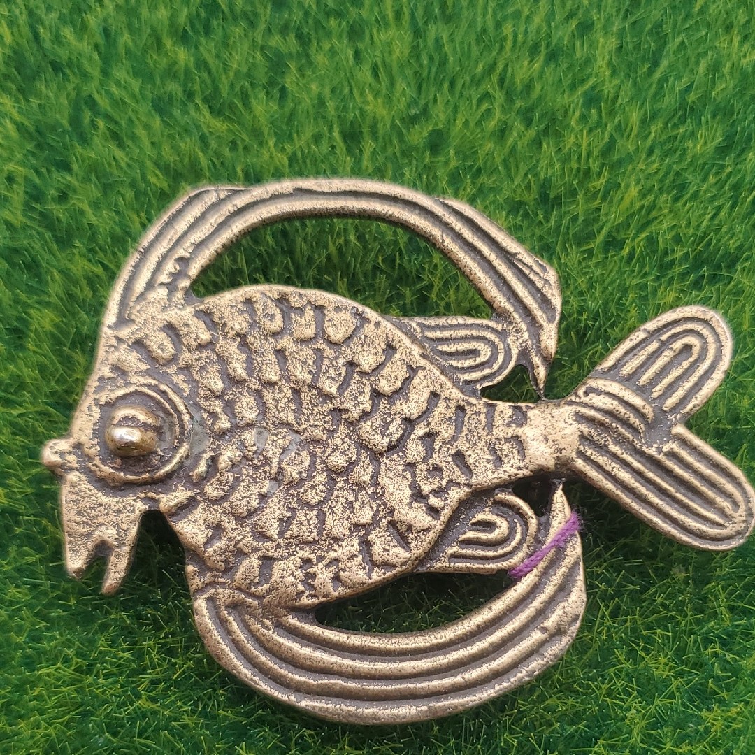 Rare Ancient Fish Brooch Collectible B452